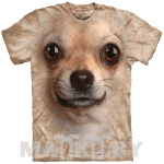 Chihuahua Face