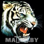 �White Tiger�
